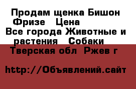 Продам щенка Бишон Фризе › Цена ­ 30 000 - Все города Животные и растения » Собаки   . Тверская обл.,Ржев г.